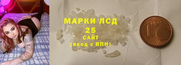 ГАЛЛЮЦИНОГЕННЫЕ ГРИБЫ Верея