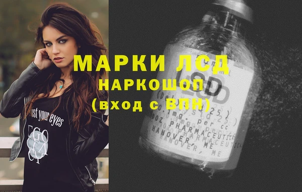 ГАЛЛЮЦИНОГЕННЫЕ ГРИБЫ Верея